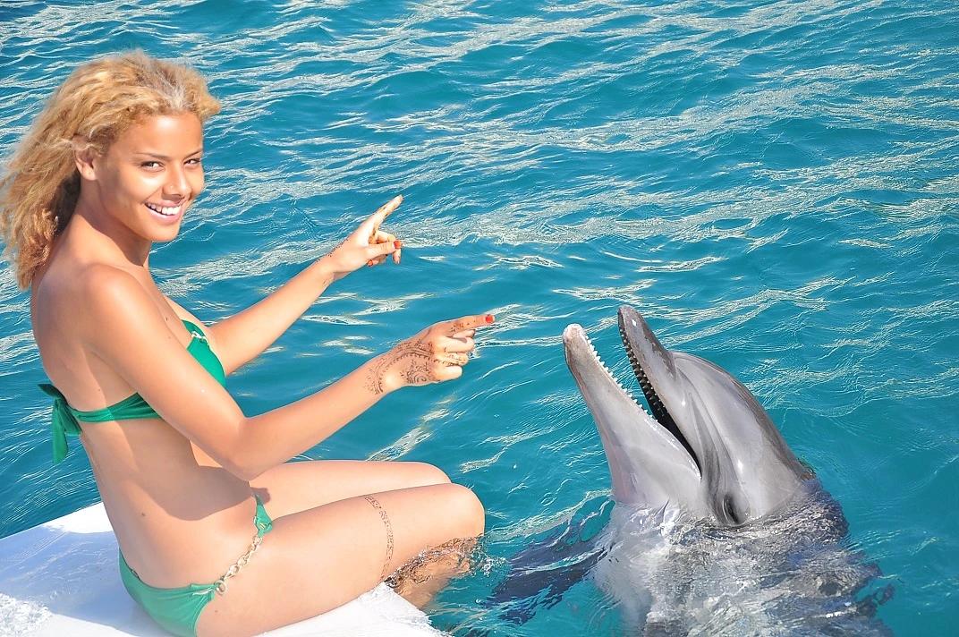 Dolphin Park - 1