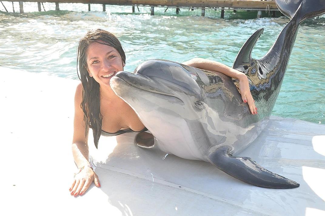 Dolphin Park - 5