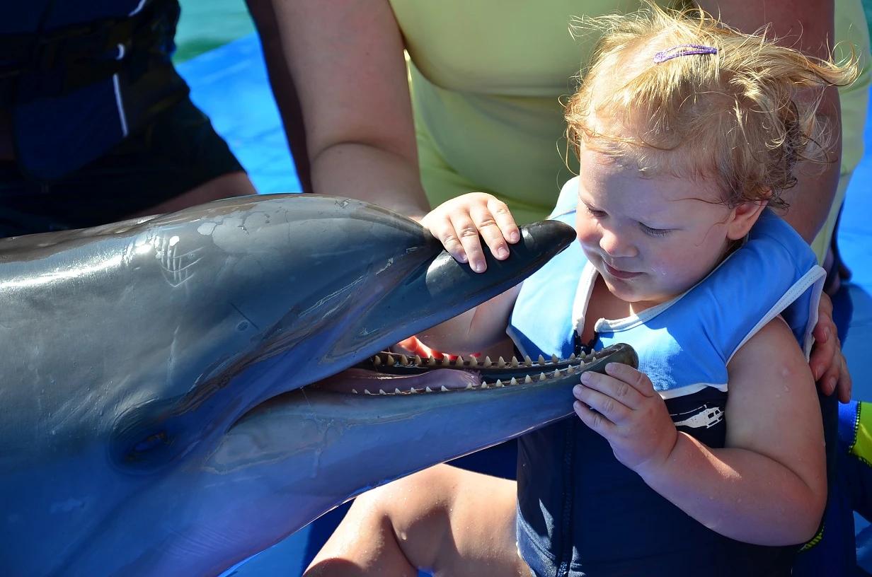 Dolphin Park - 6