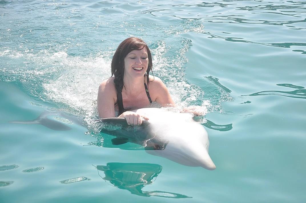 Dolphin Park - 7