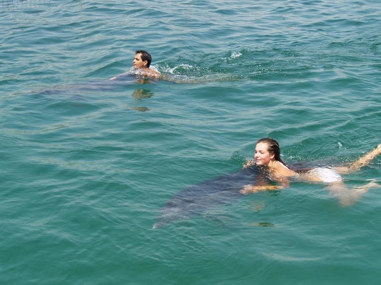 Dolphin Park - 12