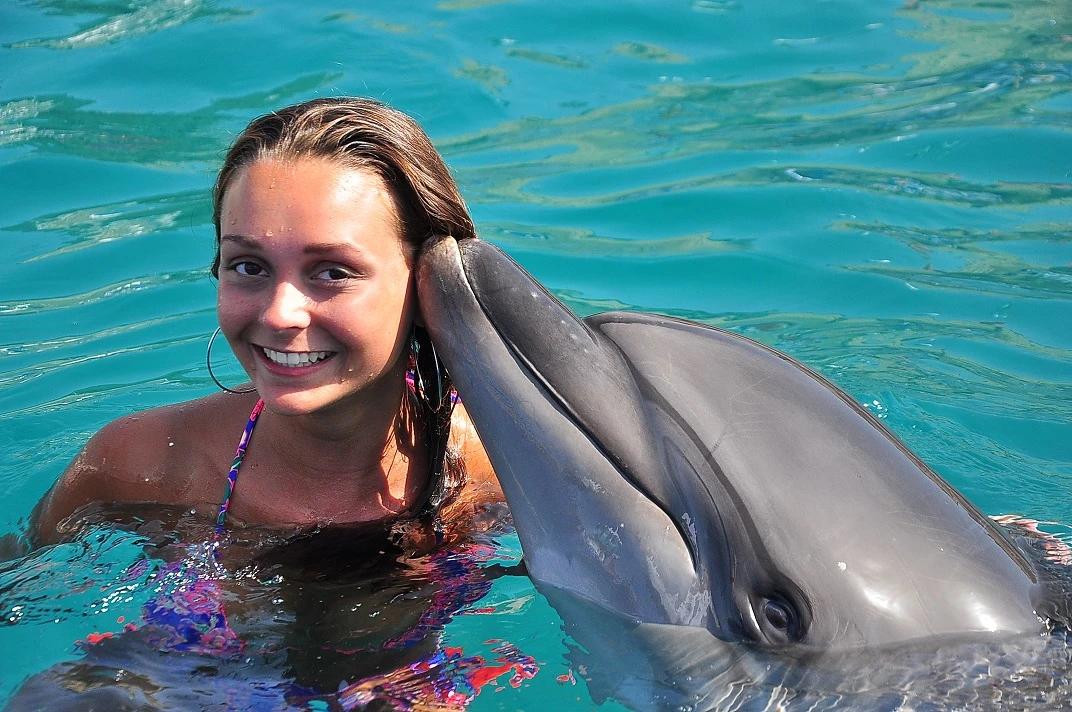 Dolphin Park - 14