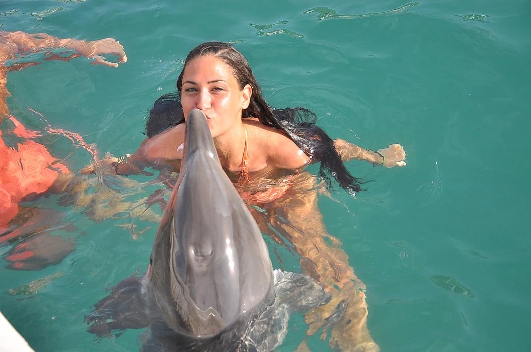 Dolphin Park - 15