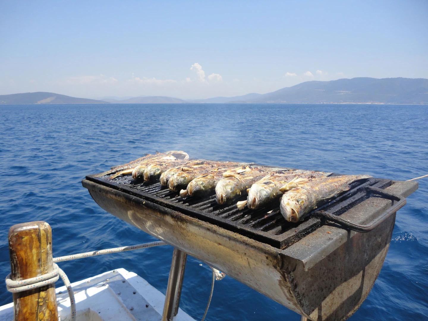 Fishing - 8