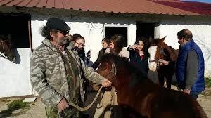 Horse Riding - 3