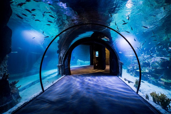Izmir Aquarium